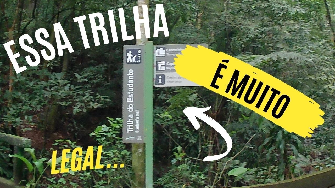 Trilha na Floresta da Tijuca Parte 2 (Cachoeiras do Brasil)