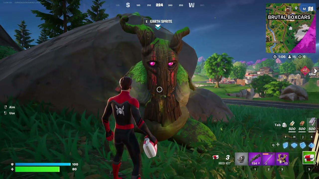 Fortnite battle royal