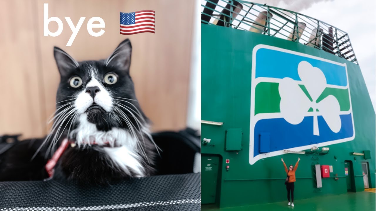 Flying solo to Dublin, Ireland (with a cat in cabin) | Delta