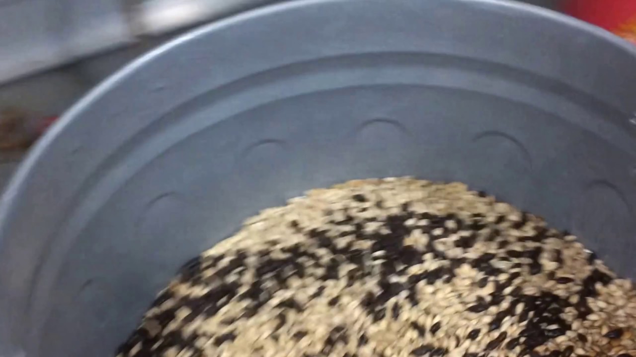 Mashmaster Minimill + Motiondynamics 20nM 12V wormdrive motor + Ikea kitchen trolley grain mill