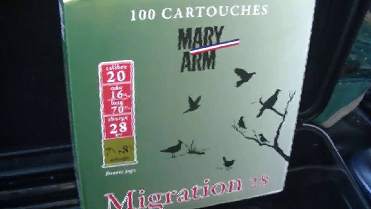 Test Renato Baldi cal.20 + Mary-arm migration