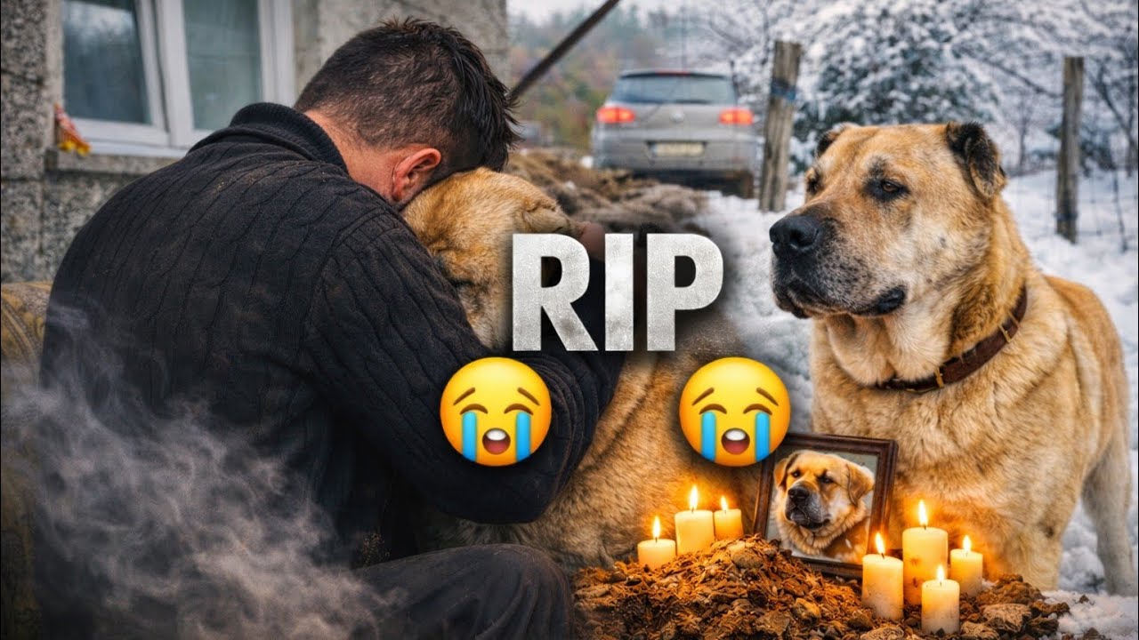 OTIŠAO JE ČLAN MOJE PORODICE 💔 PAS KOJI MI JE BIO SVE