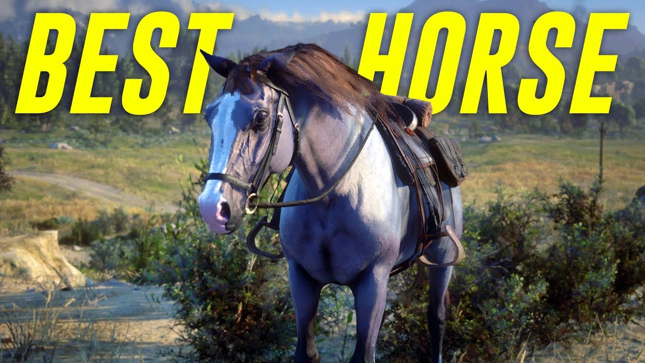 How to get the BEST HORSE in Red Dead Redemption 2