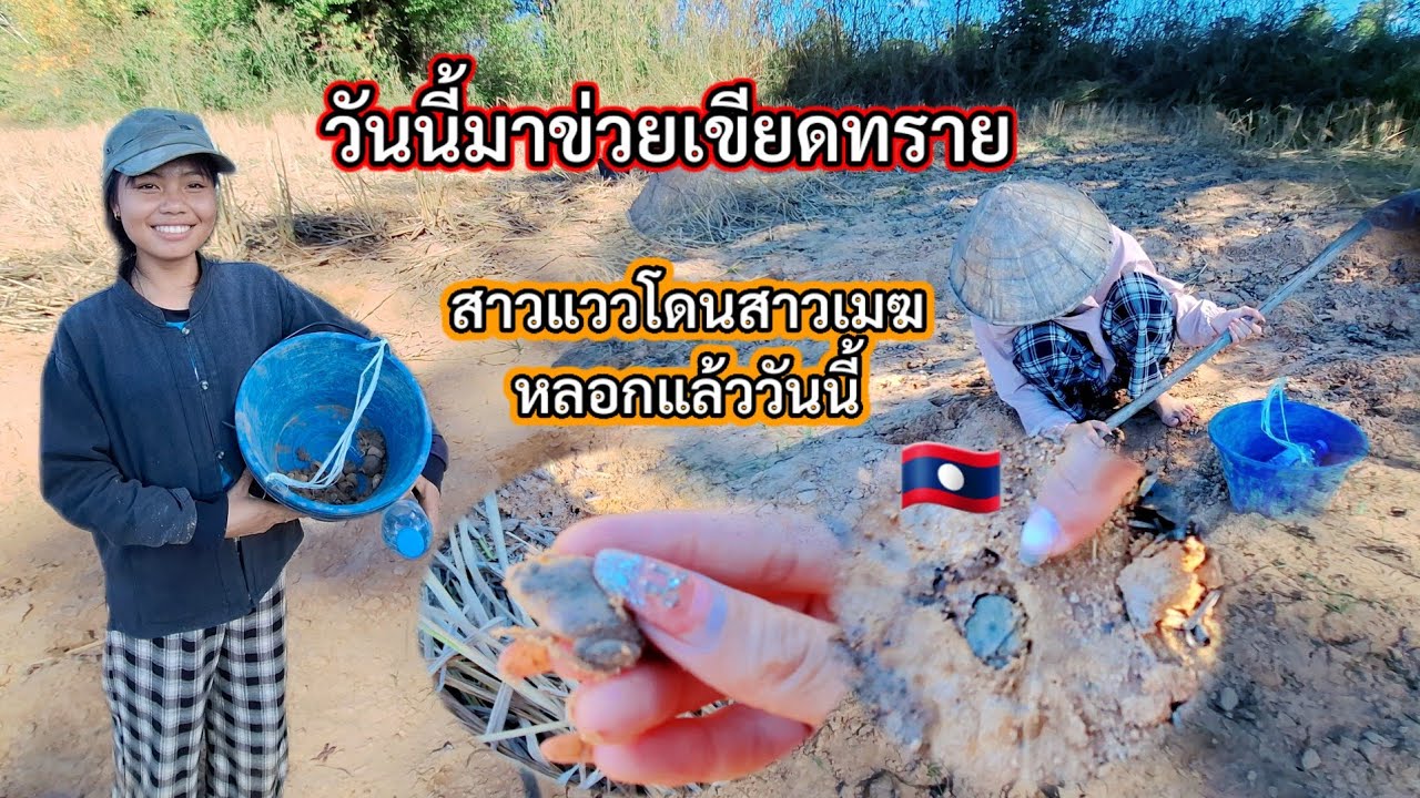 #มาข่วยเขียดทรายนำกันกับสาวลาวพี่น้อง🇱🇦🐸#อยู่ง่ายกินง่าย🥰#วิถีชาวบ้าน 19 ธันวาคม ค.ศ. 2025