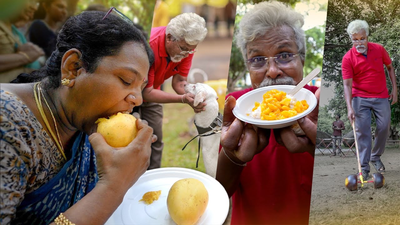 Dad's visit to Mango Farm 😍😋 | The Great Mango Festival 🥭
