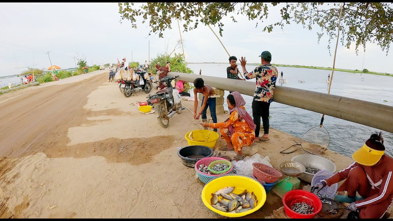 Traditional Cast Net Fishing in Cambodia Rural, Best Countryside Street Food, City Food Tour, & More