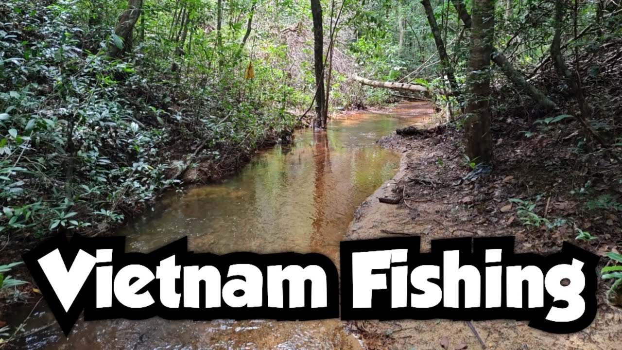 Microfishing a Creek on Phu Quoc | Vietnam Fishing 🇻🇳