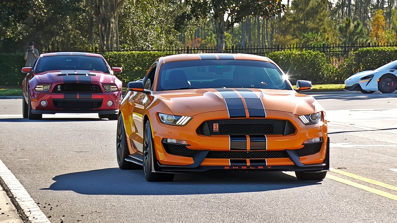 Cars Cruising Into Central Florida Cars & Coffee (Chill Video) - November 2024