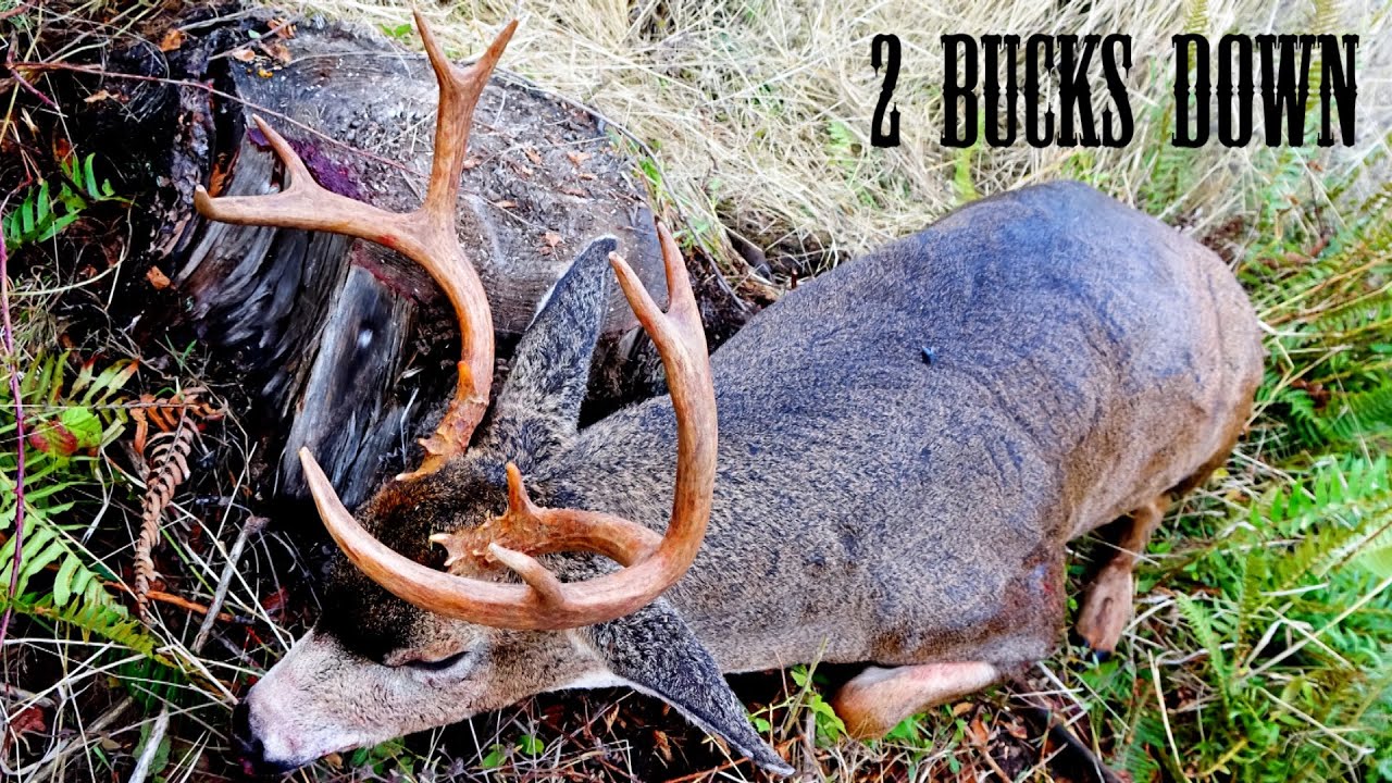 MY BIGGEST BUCK EVER!!! 4x4 Oregon Coastal Blacktail Hunt