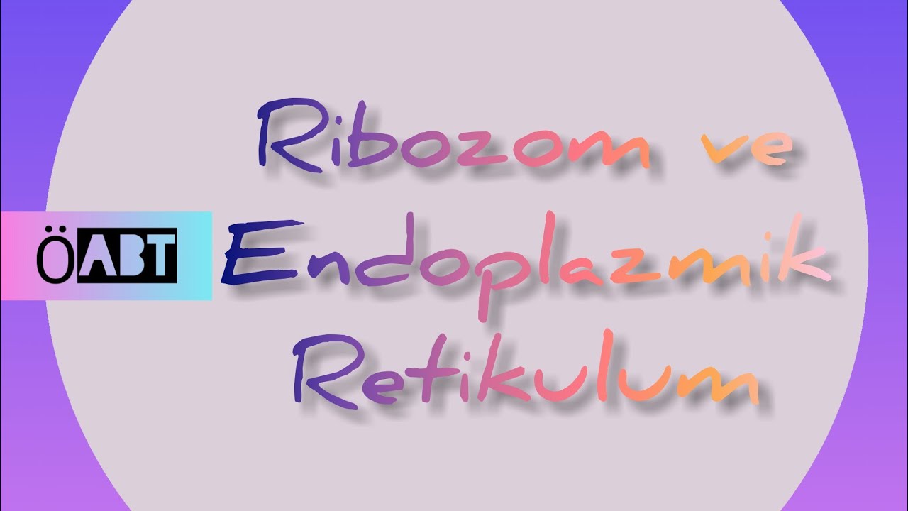 36) Ribozom ve Endoplazmik Retikulum - &Ouml;ABT BİYOLOJİ