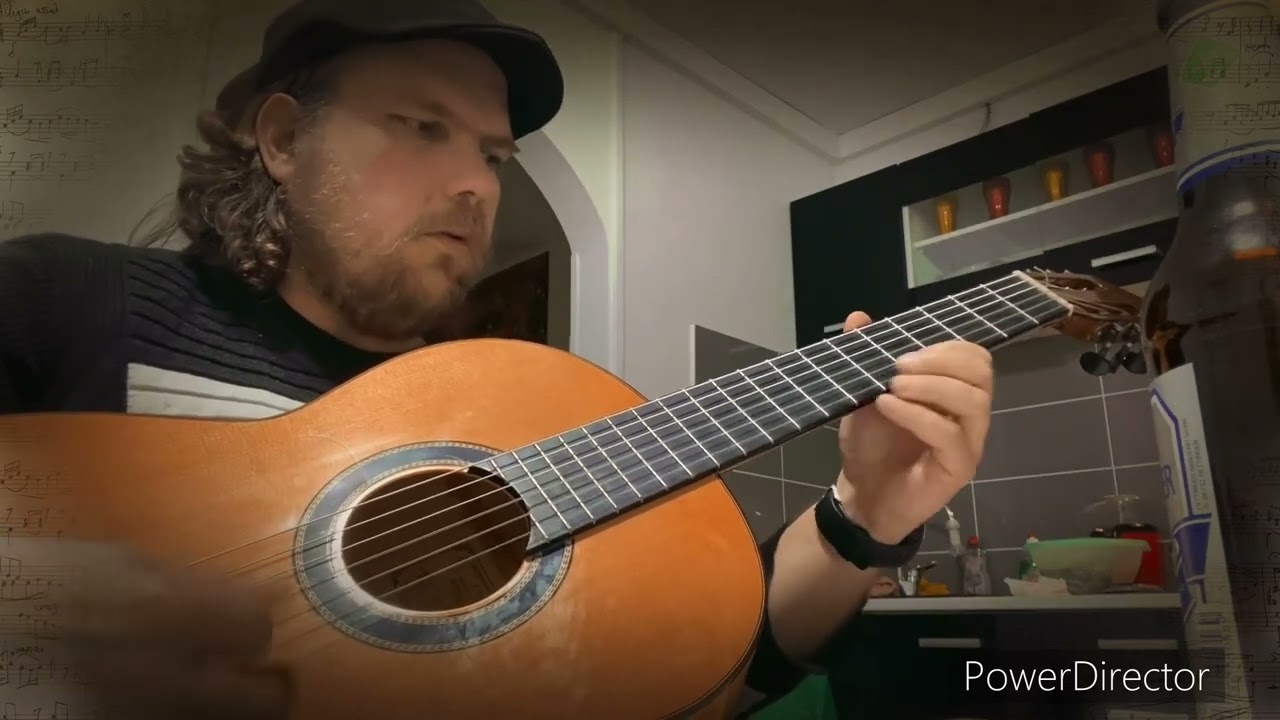 Que reste-t-il de nos amours - Mike Grenier Jazz Manouche music