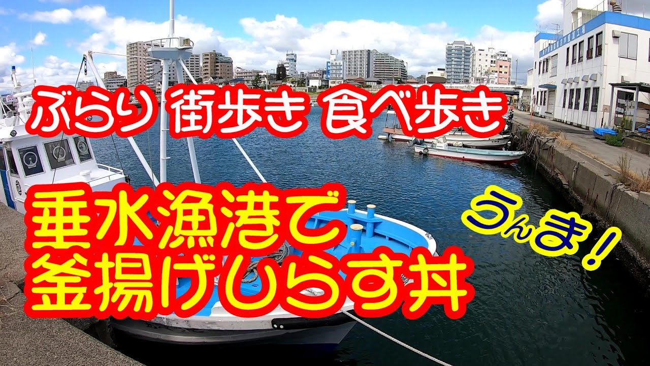 ぶらり街歩き食べ歩き　神戸垂水駅から海神社を通って垂水漁港をブラブラ散歩してきました。垂水漁港食堂で釜揚げしらす丼のランチに大満足！DCUで海神社の御守りが。