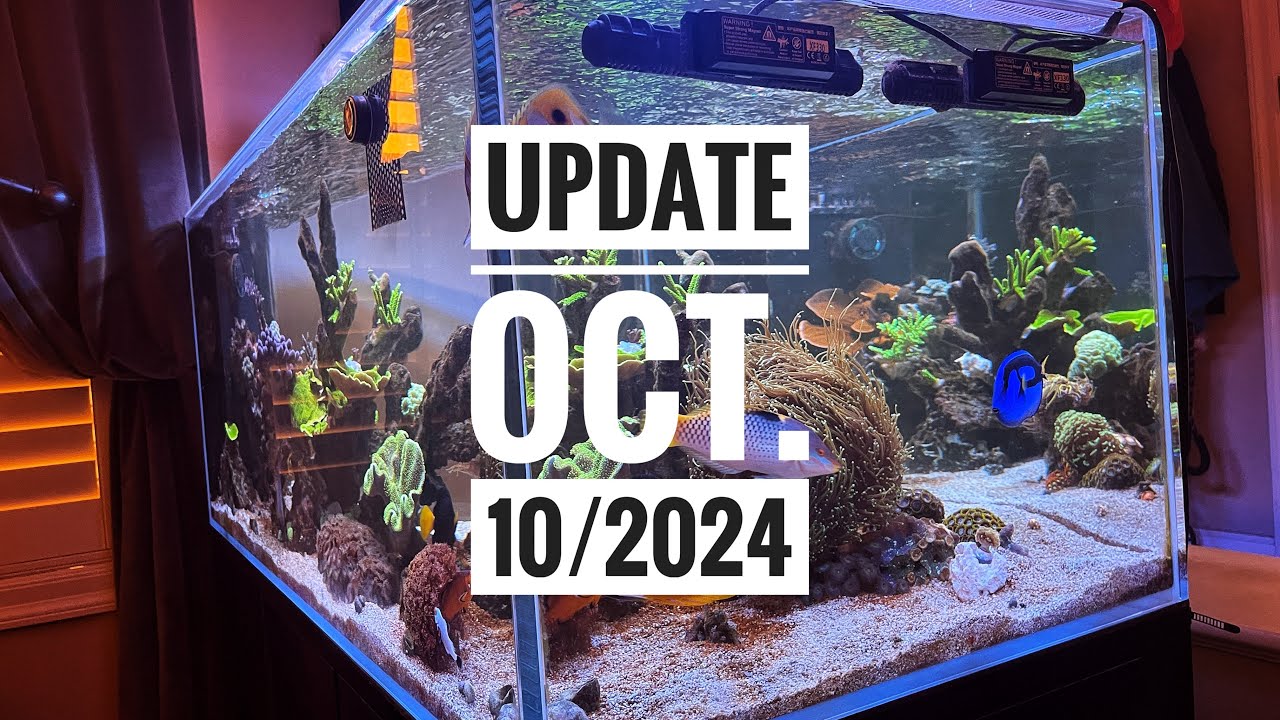 CADE 1500 S/P Update for October 10, 2024