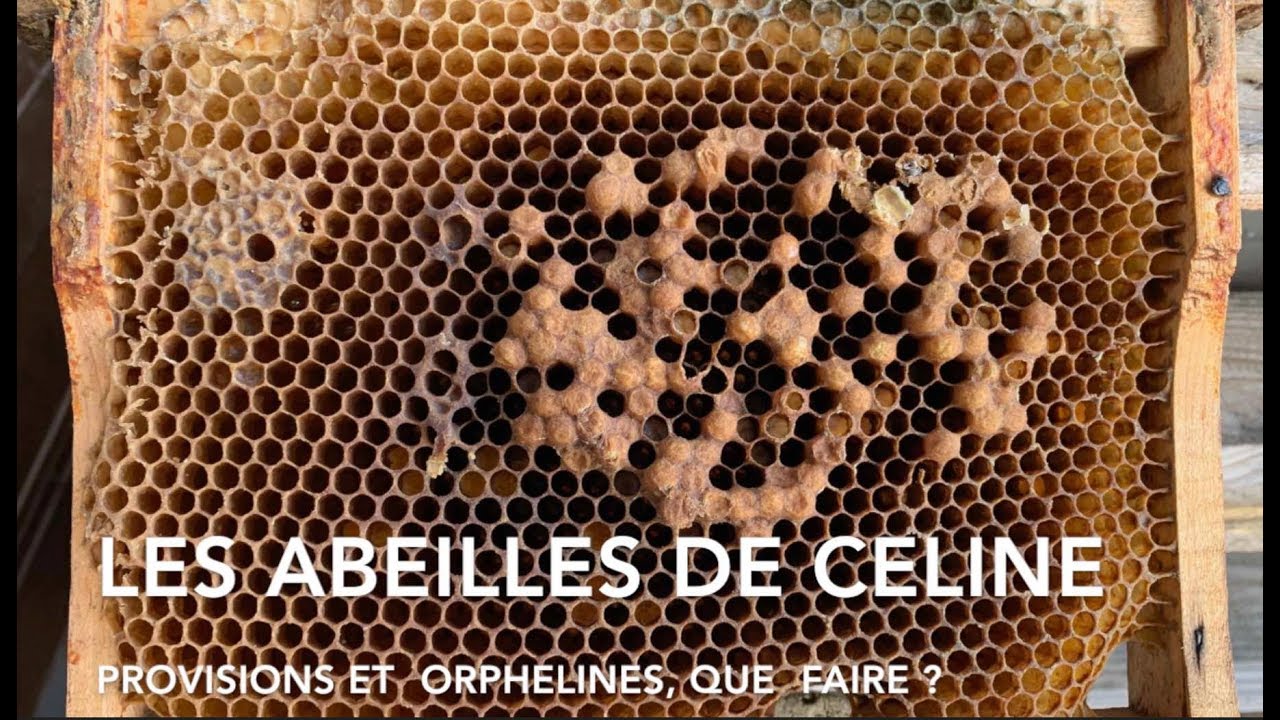 270219 Provisions et orpheline, que faire ?