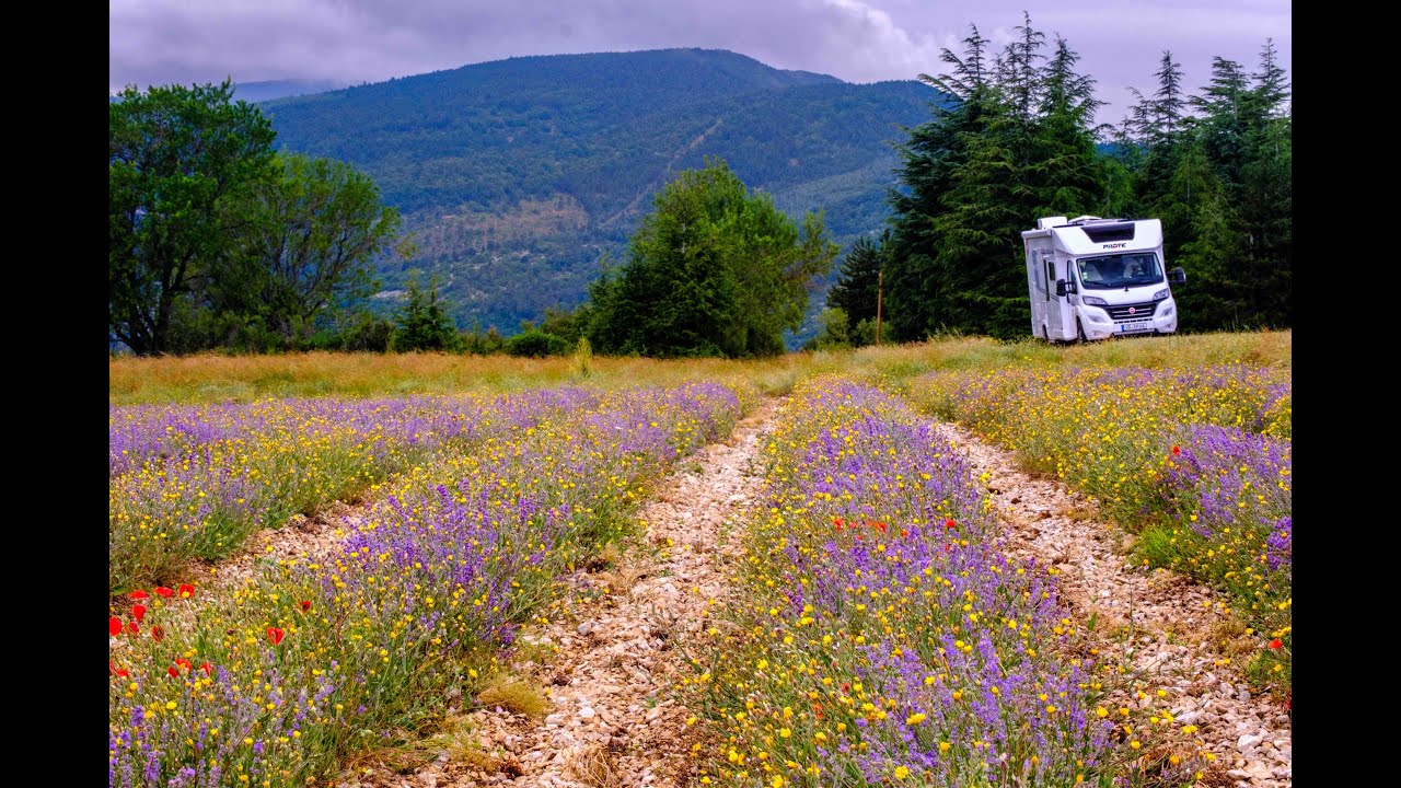 Mit dem WoMo zur Lavendelblüte in die Provence - Juli 2023. Die Reise von Astrid, Bobby, Bryan & Ivo