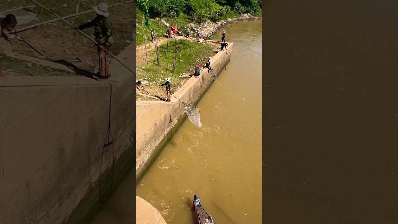 Reallife fishing in river for food #fishing #catchfishtechnique #catchingfish #fish