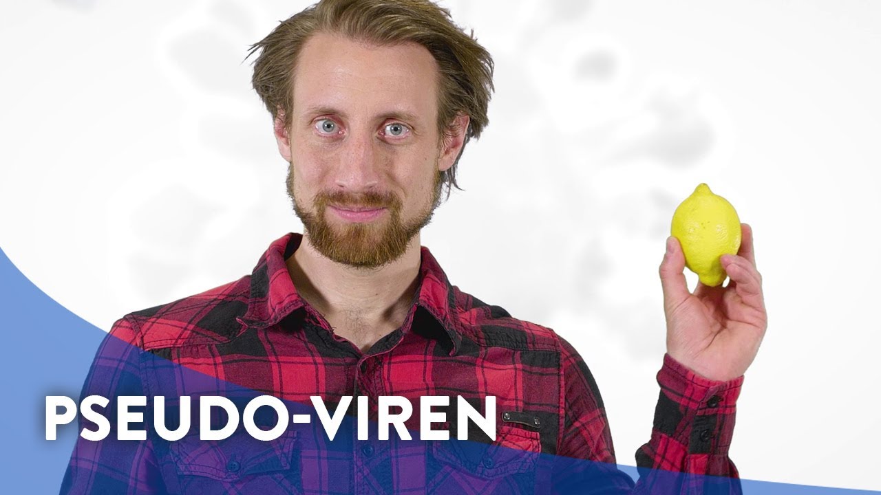 Corona-Faktencheck mit Martin Moder: Was sind 