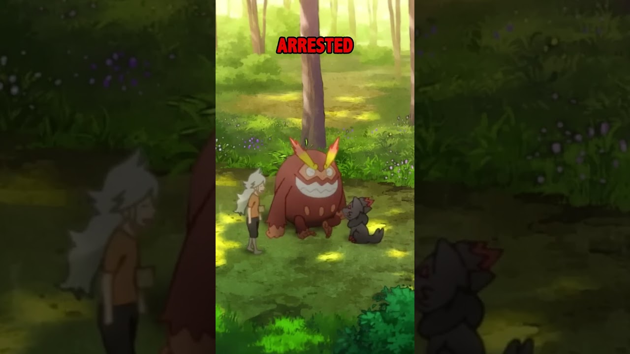 Team Plasma Turns Pok&eacute;mon Into a Moral Argument