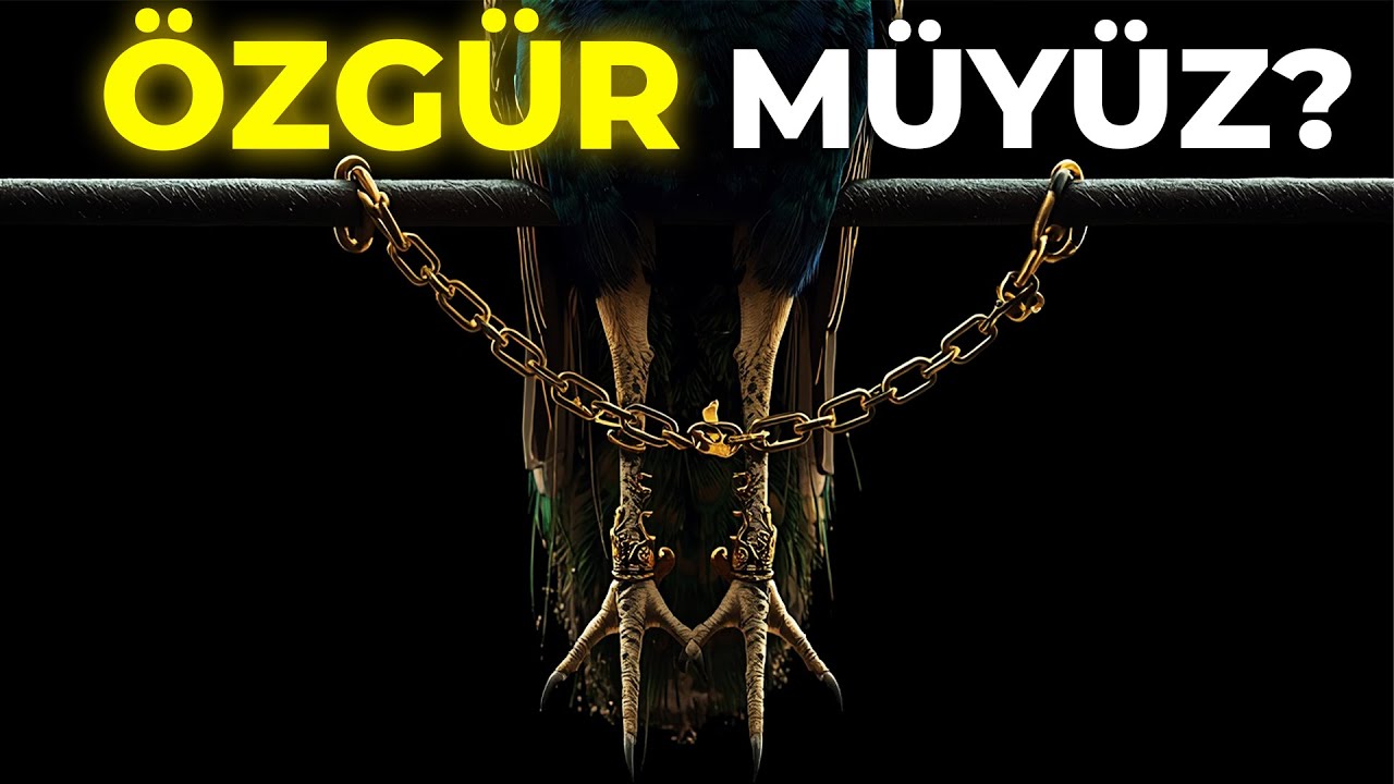 Kendinizi Karşılaştırmayı Durdurun: Gerçek Özgürlüğün Kadim Stoacı Sırrı
