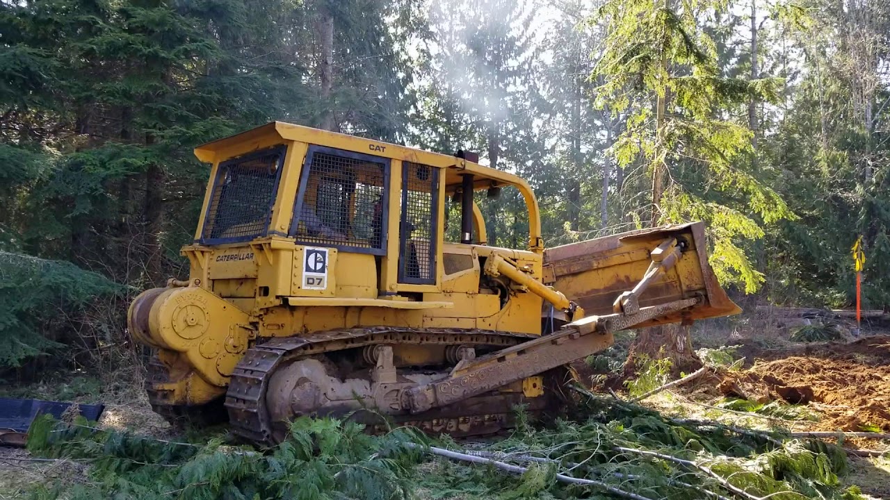 D7F digging out stumps at our place