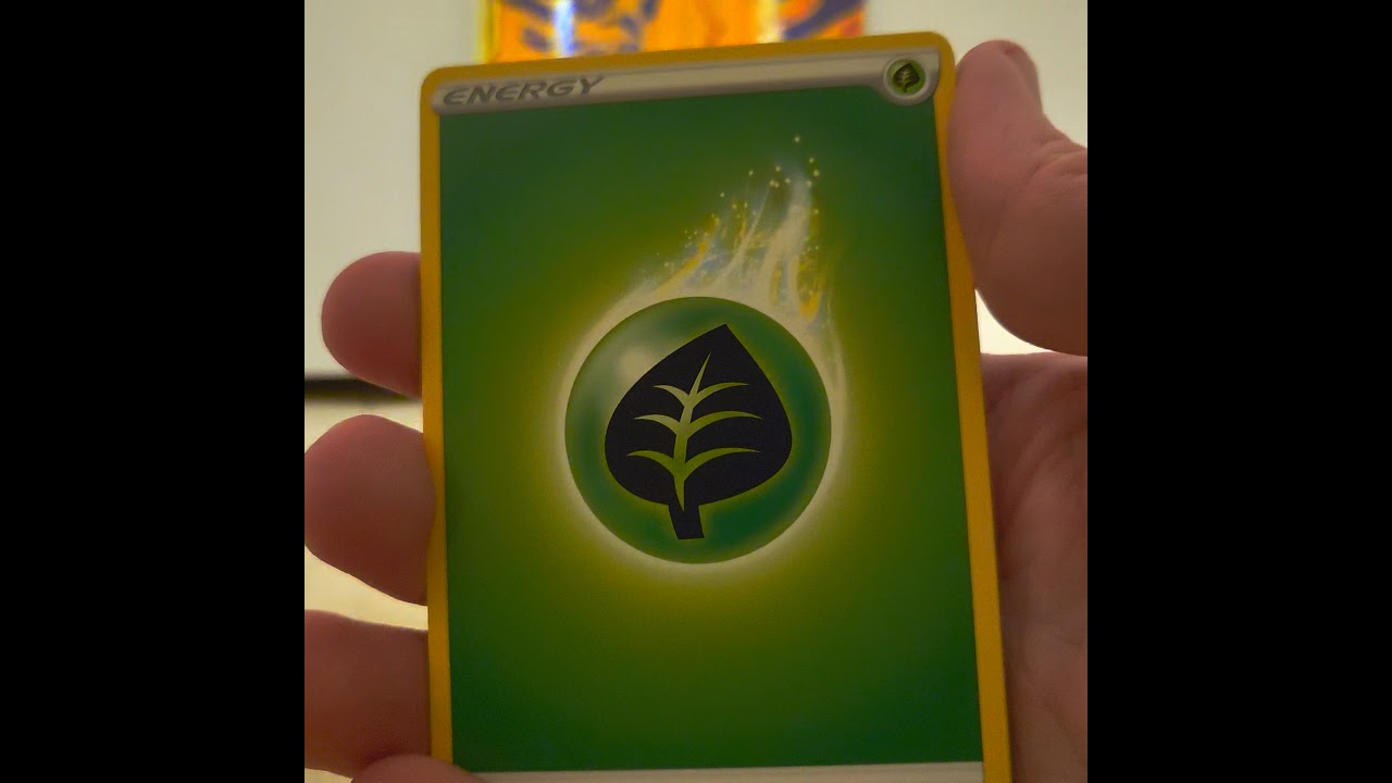 Pikachu & Zekrom Gold Card Collection Box