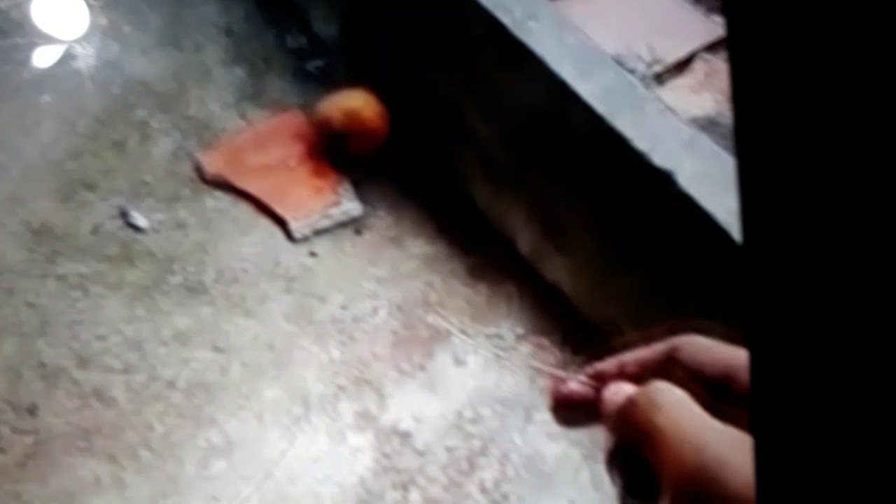 Tet quả ph&aacute;o tr&ograve;n