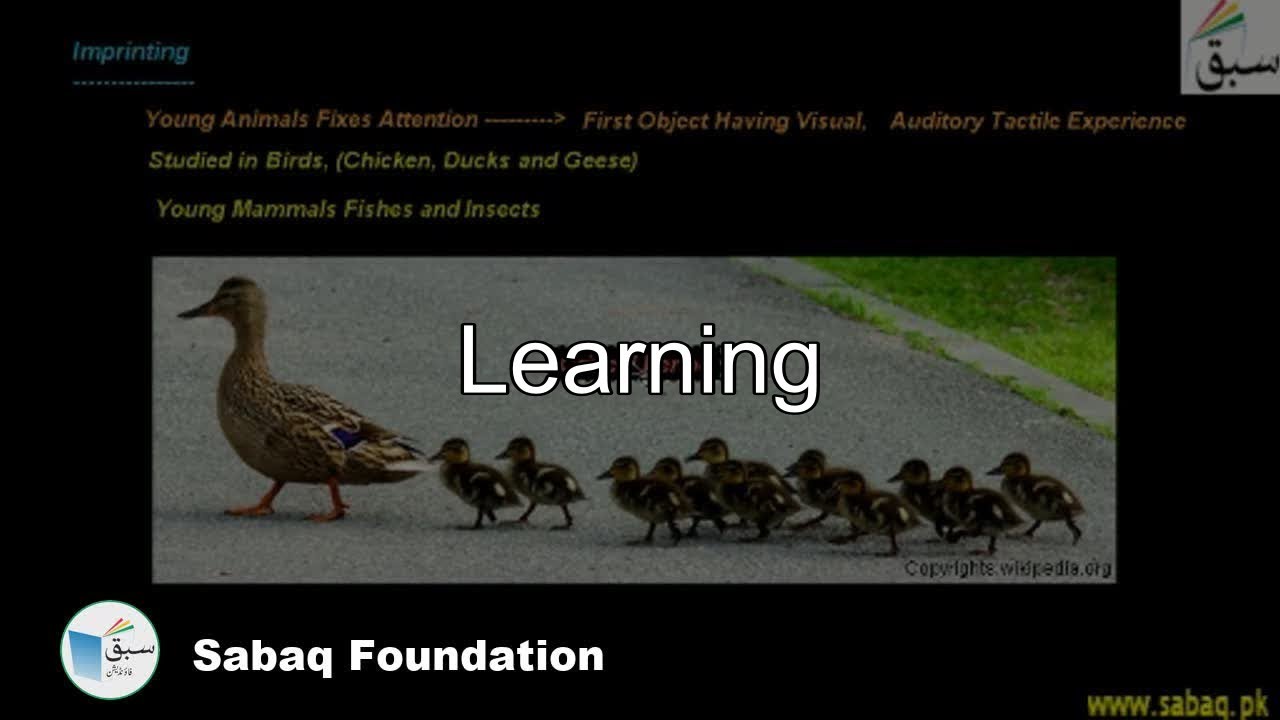 Learning Behavior, Biology Lecture | Sabaq.pk