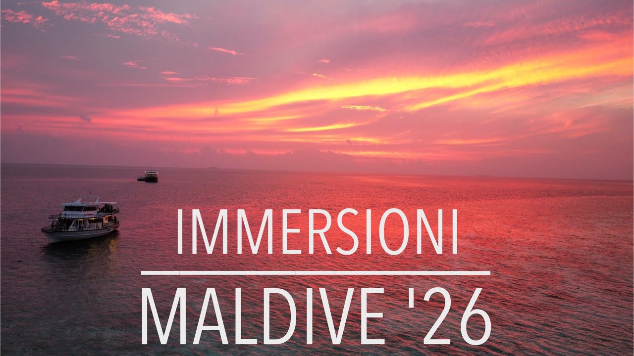 MALDIVE | Immersioni '26