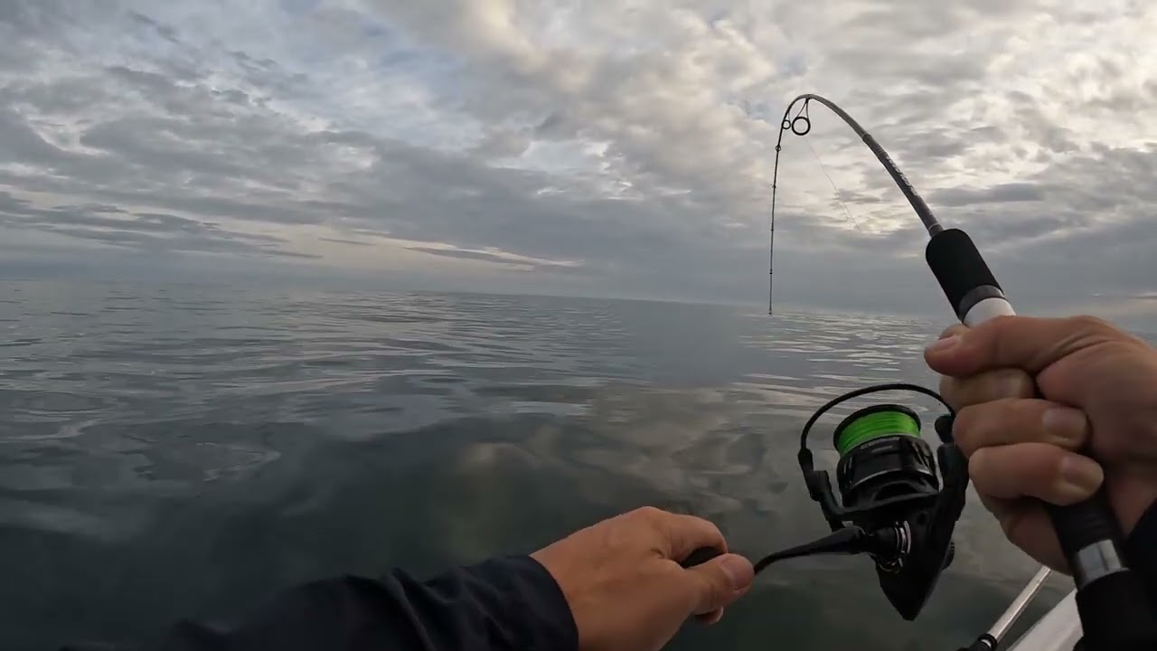 LUBINAS a Jigging en el Cantábrico