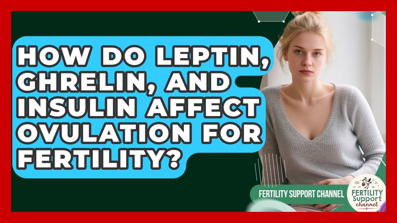 How Do Leptin, Ghrelin, And Insulin Affect Ovulation For Fertility? - Fertility Support Channel