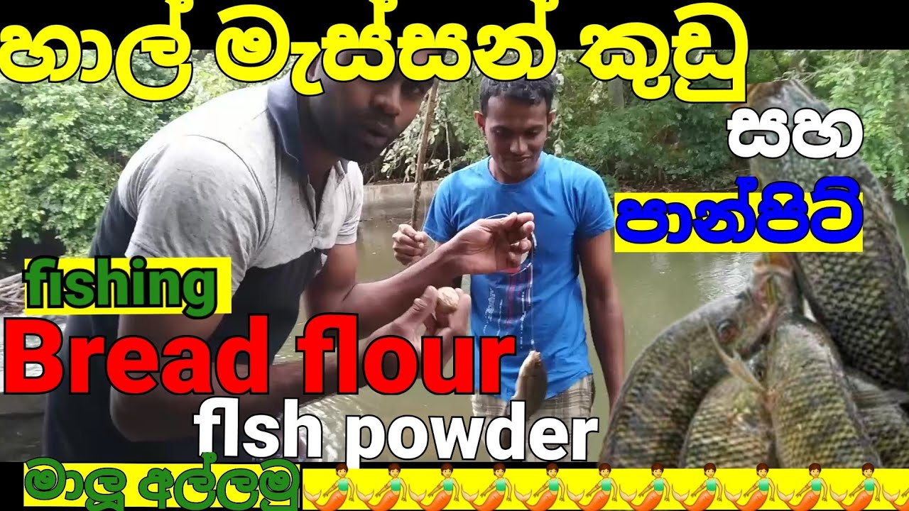 best fishing 2022 ideas 🧜🧜🧜🧜 sri lanka fishing video / new fishing video Sl petta /net fishing SL