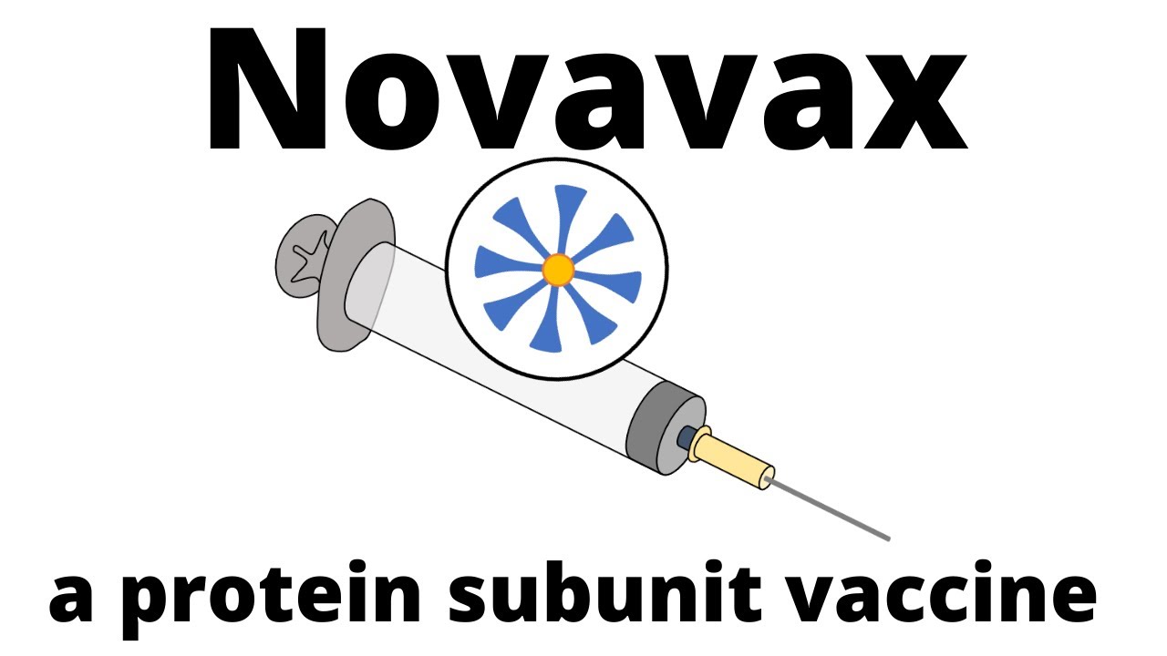 How Novavax -the new protein subunit vaccine- is produced and how it works