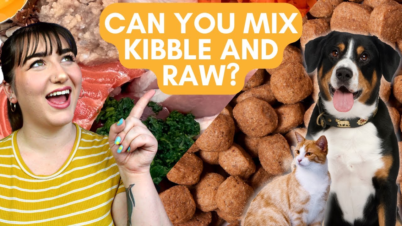 Can You Mix Kibble and Raw Pet Food? | Mythbusting Mondays