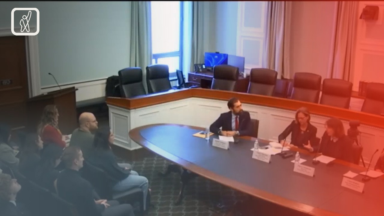 საქართველოში განვითარებულ პროცესებს ჰელსინკის კომისია აფასებს