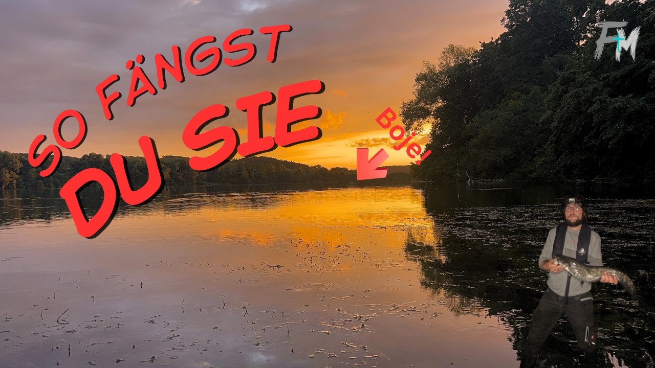 Kaum jemand nutzt diese Welsmontage im See… Abspannen mit Bojen erklärt!