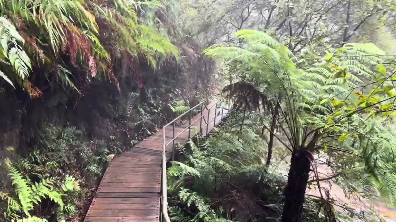 Leura Cascades, The Blue Mountains National Park, New South Wales, Australia