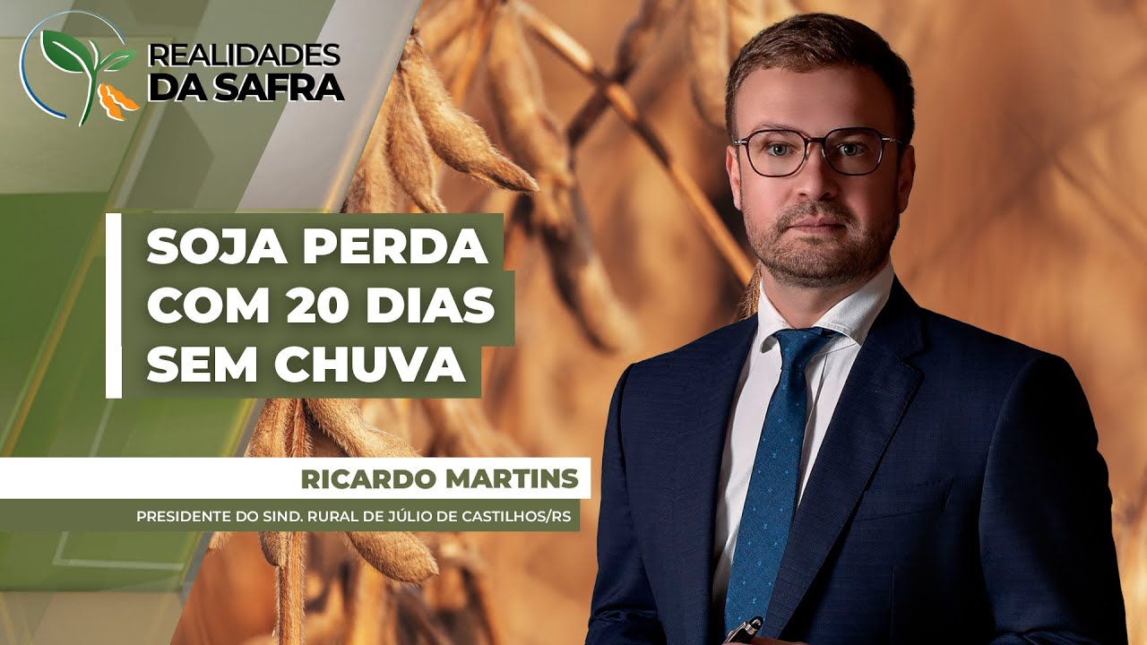 Lavouras em Júlio de Castilhos/RS estão há 20 dias sem chuva e devem ter perdas