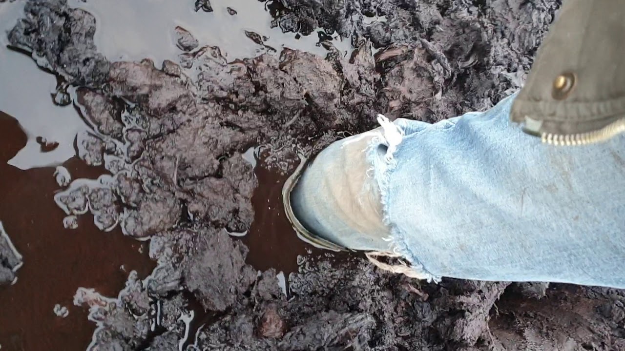 Albatros Gummistiefel tief im Moor versenkt