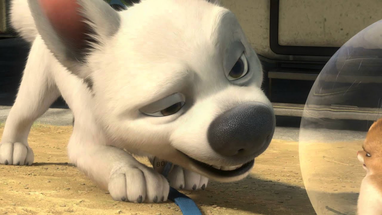 Bolt