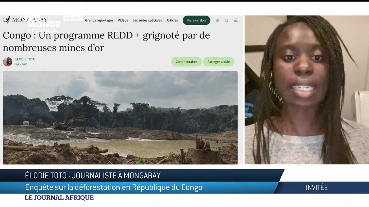 La République du Congo minée par la déforestation ? - Interview