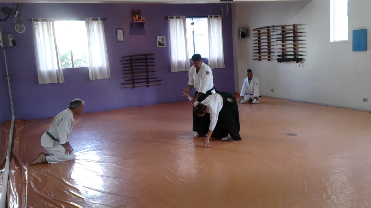 Aikido 2017 - Yokomen Uti 2