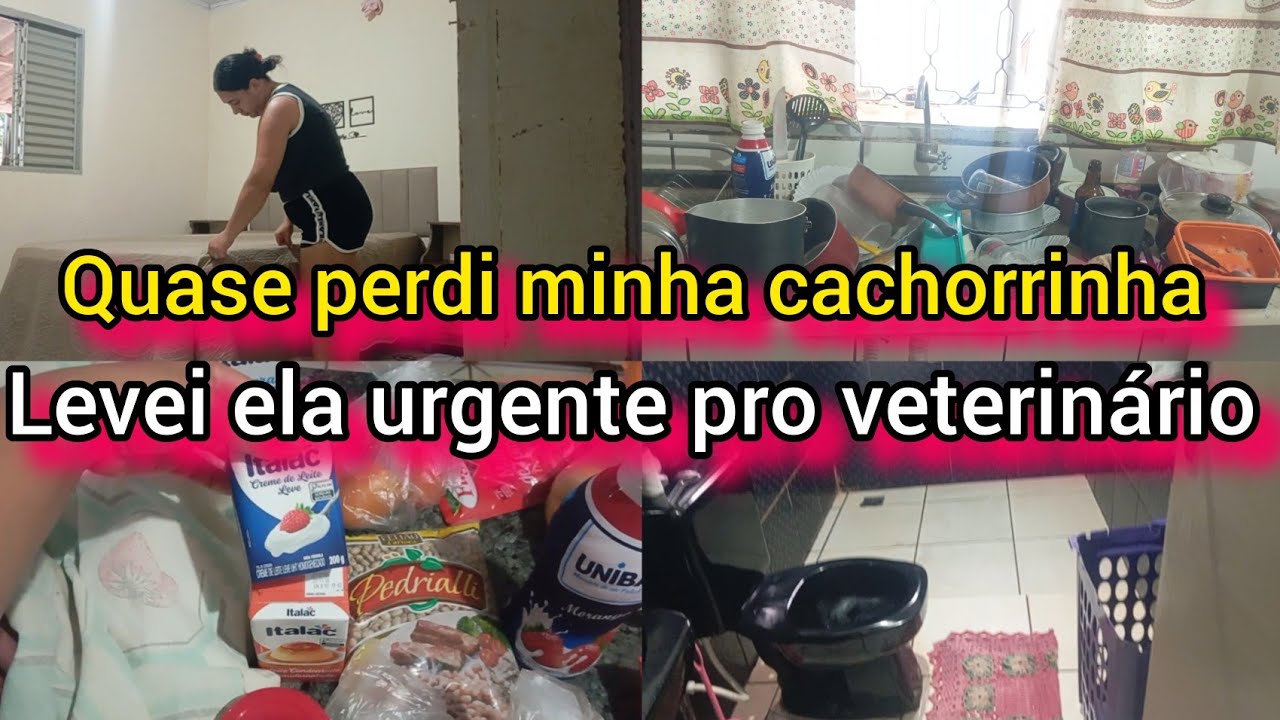 Comprinhas da semana/cuidando do lar 🏡 um baita susto 🥺
