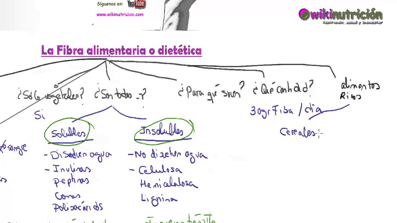 La fibra alimentaria o dietética - wikinutrición