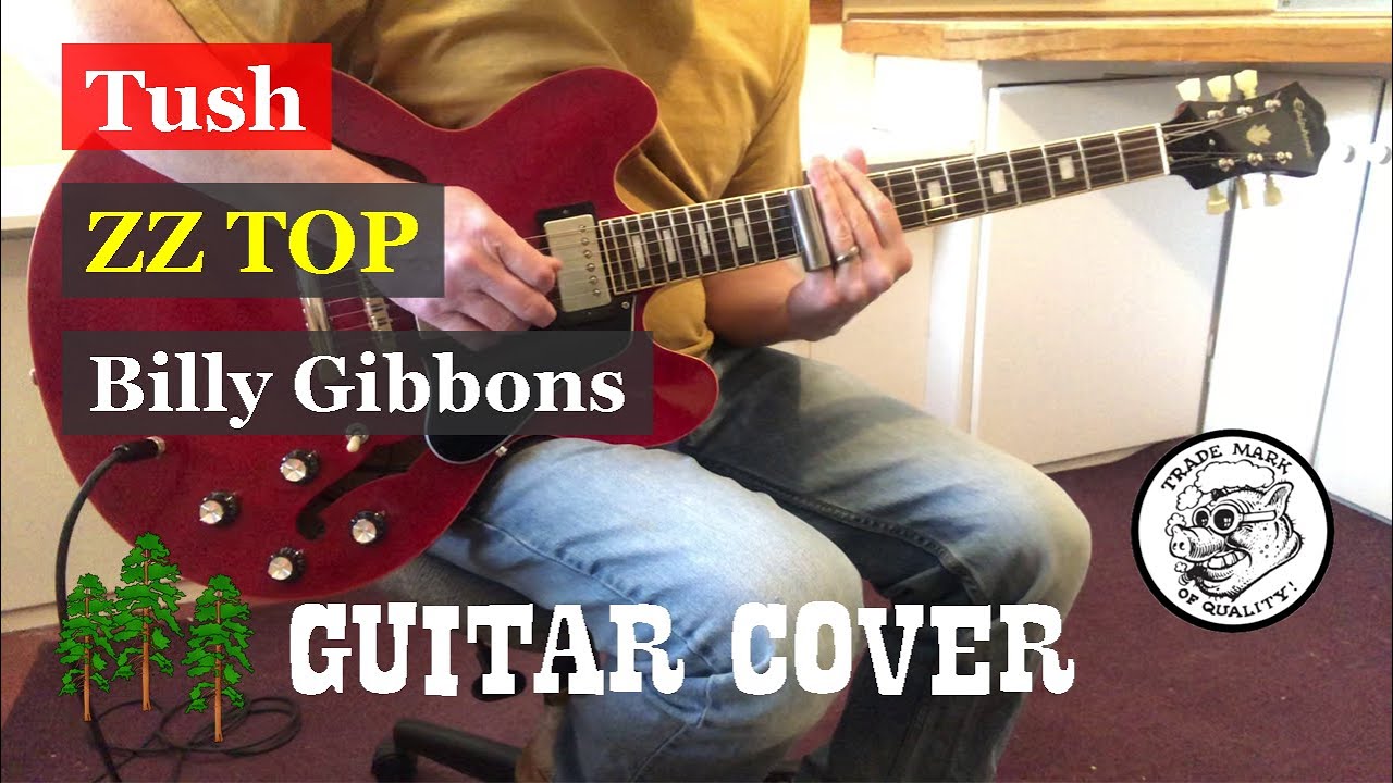 Tush  - ZZ Top / Billy Gibbons - Guitar Cover