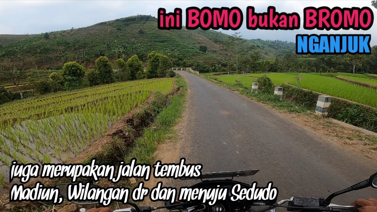 Pemandangan Indah jalan Di Dusun Bomo Kec. Sawahan Nganjuk