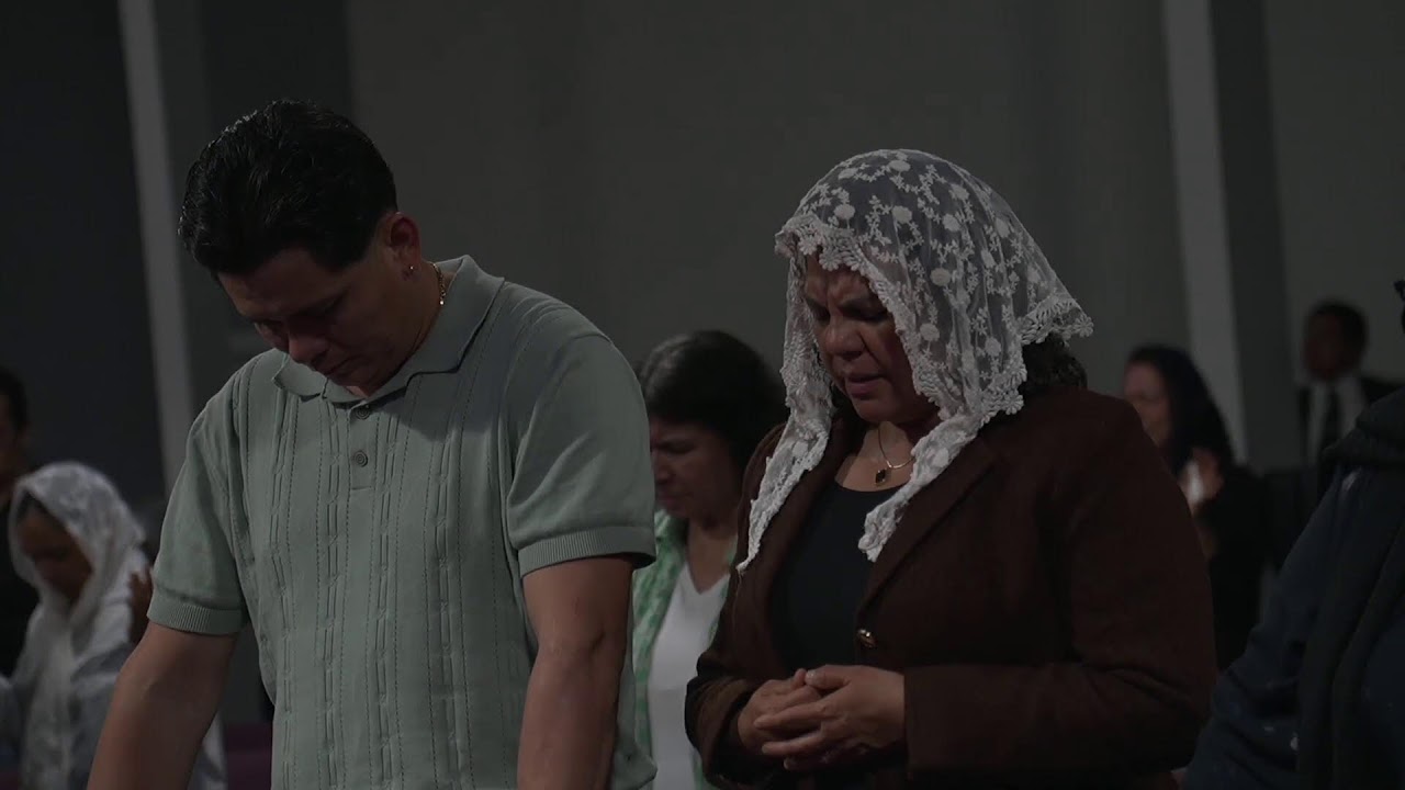 Las Vestiduras de Lino Fino