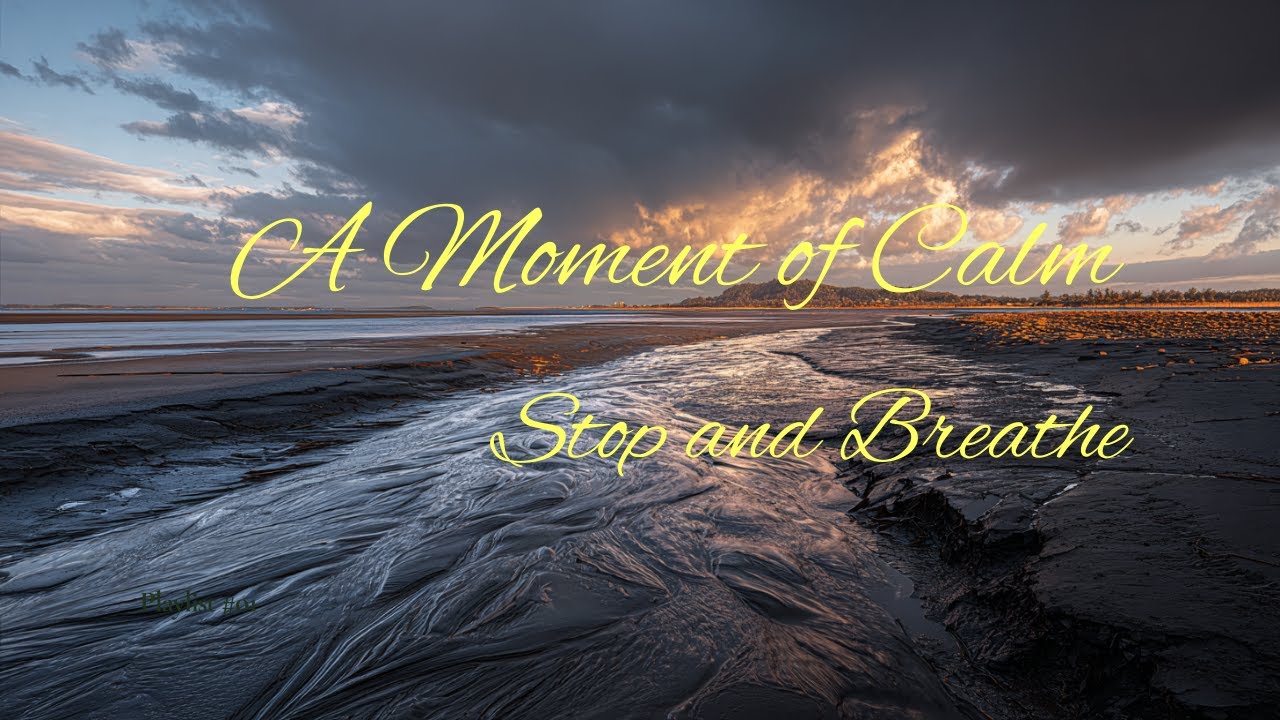 🎵 Gentle Stillness