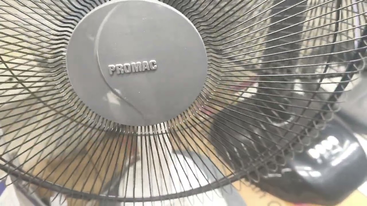 various fans in puregold