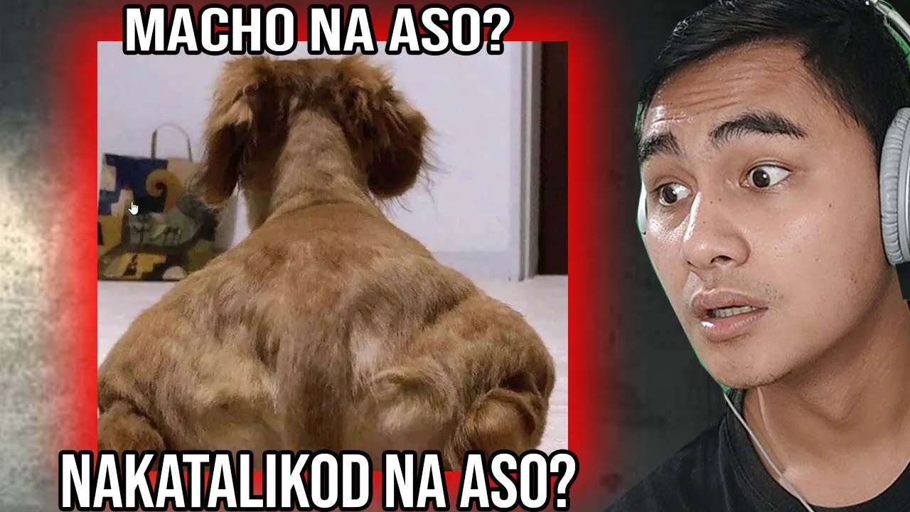 Mamamalik Mata Ka Sa Video Na To..
