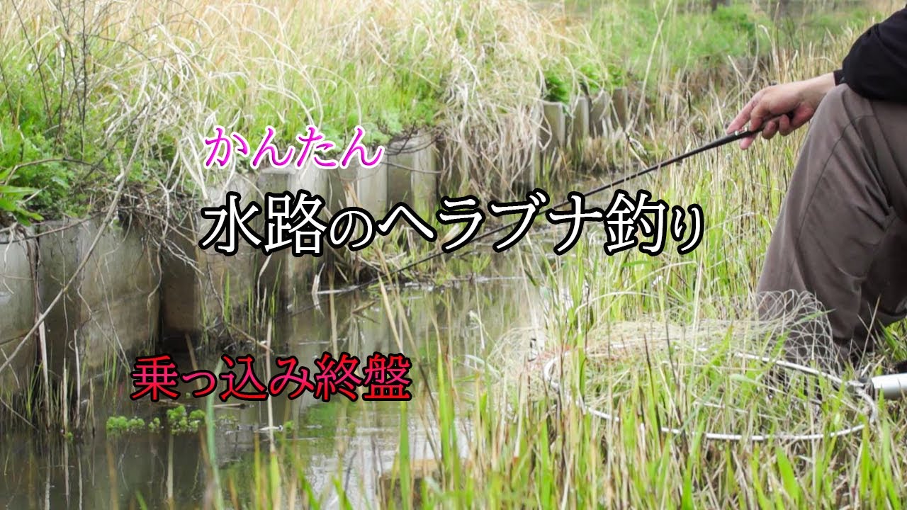 水路でヘラブナ釣り！ 初心者でも楽しめるかんたん仕掛けで乗っ込み終盤の野釣りを楽しむ 「霞ヶ浦」